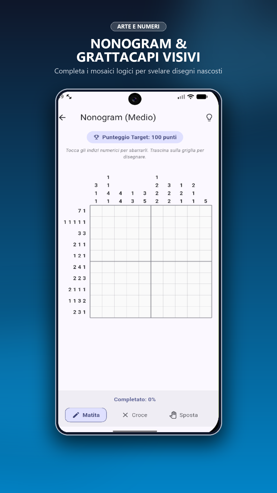 Nonogram Enigmix